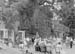 1950 Folk Dancing 05