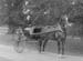 Robinson(George) 02