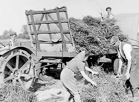 Ampthill Harvest 02 1944