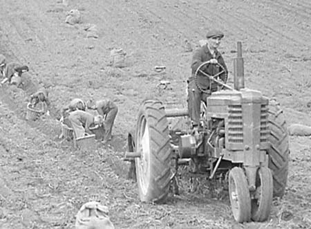 Flitwick Harvest 02 1944
