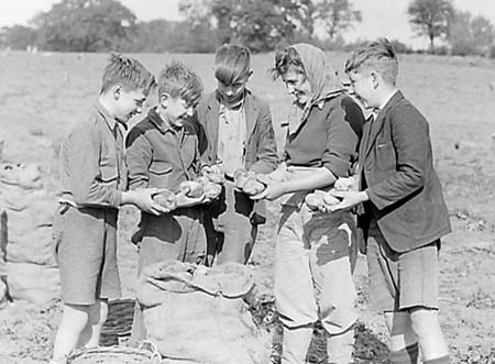 Flitwick Harvest 05 1944