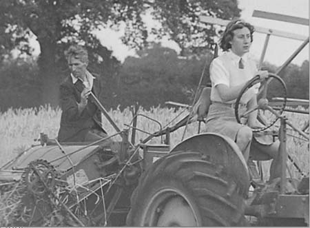 Harvesting 04 1942