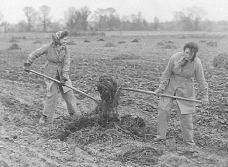 Hus Crawley 08 1943