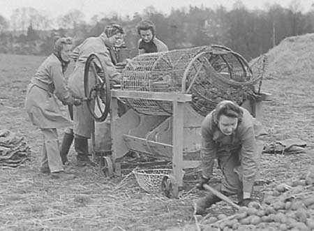 Hus Crawley 10 1943
