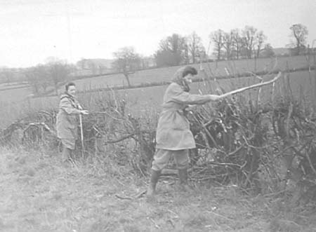 Hus Crawley 14 1943