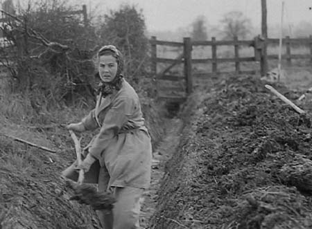 Hus Crawley 17 1943