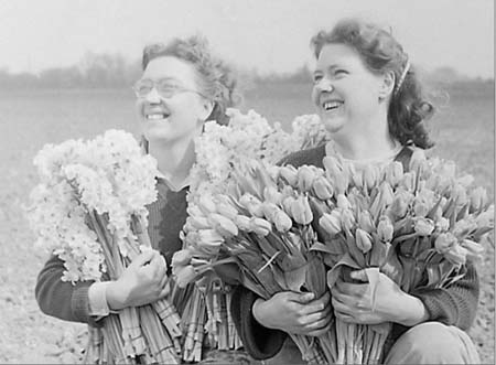 Willington 03 1950