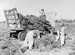 Ampthill Harvest 04 1944