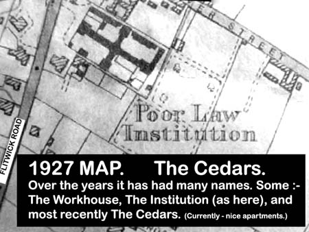 Cedars 4493