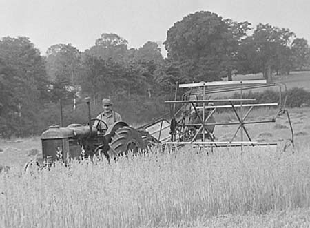 1947 Harvesting 02