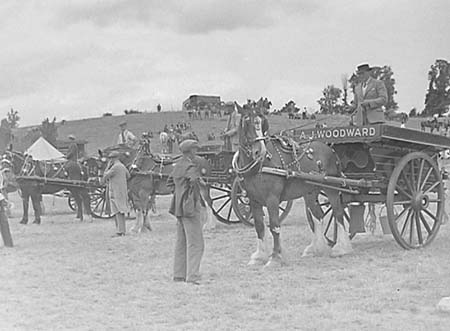 1947 Horse Show 02