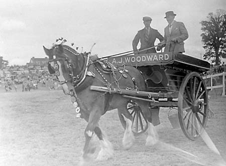 1947 Horse Show 04