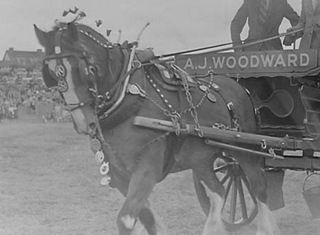 1947 Horse Show 05