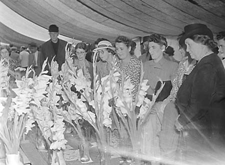 1947 Horse Show 10
