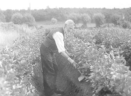 1948 Alfred Sharpe 01