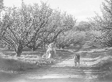 1950 Carol Burgoine 01