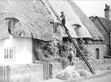 1954 Thatched Cottages 05