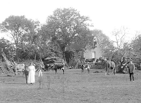  e1900s Maulden Mill 11