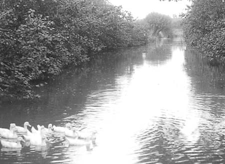  e1900s Maulden Mill 14