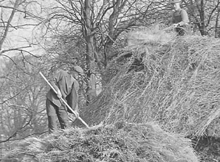 1941 Farming 02