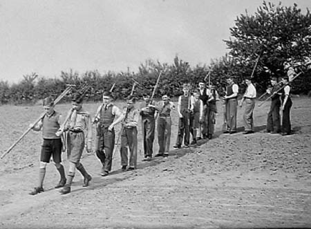 1942 Boy Gardeners 01