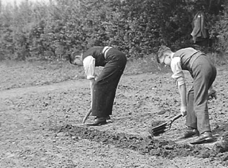 1942 Boy Gardeners 06