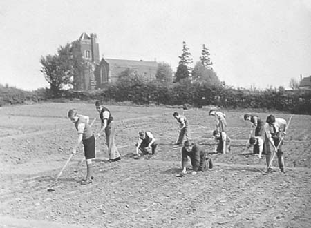 1942 Boy Gardeners 08