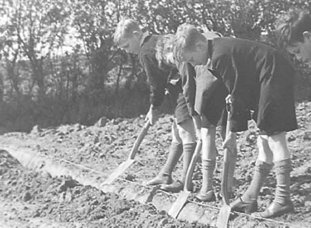 1943 Boy Gardeners 11
