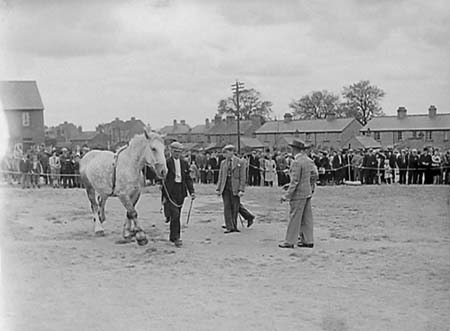 1943 Forces Fundraising 01