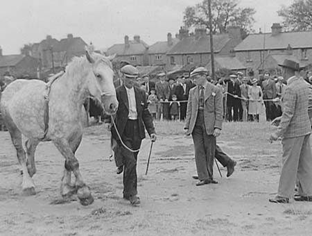 1943 Forces Fundraising 02