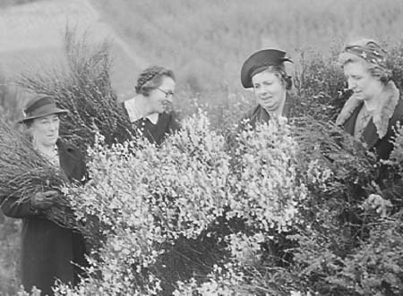 1943 WI Meeting 07