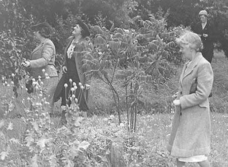 1943 WI Party 09