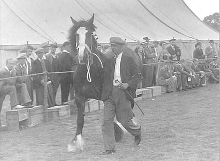 1945 Show Two 04