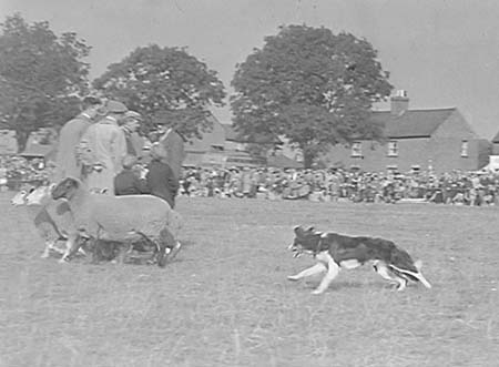 1945 Show Two 15