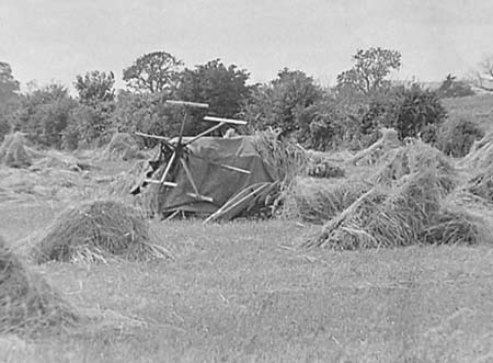 1946 Harvesting 08