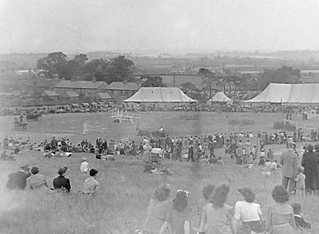 1946 Horse Show 01