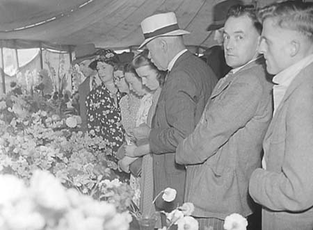 1946 Horse Show 11