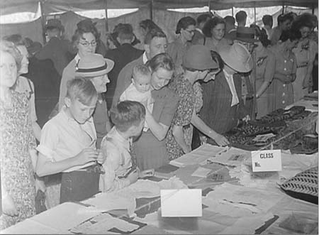 1946 Horse Show 12