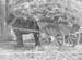 1941 Farming 03