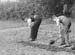 1942 Boy Gardeners 06