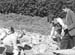 1943 Boy Gardeners 05