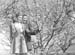 1943 Springtime 01