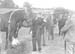 1945 Show Two 10