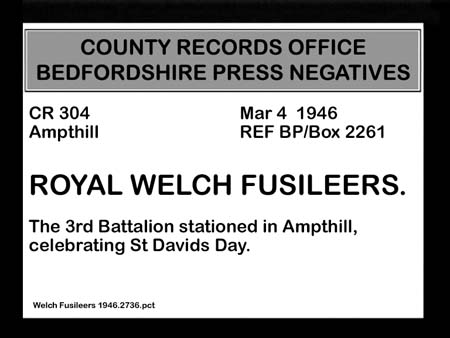  Welch Fusileers 1946.2736
