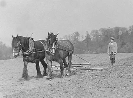 1941 Farming 03