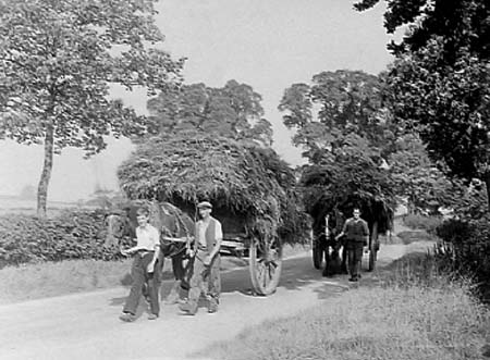 1941 Harvest 02