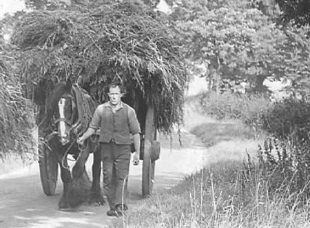1941 Harvest 04