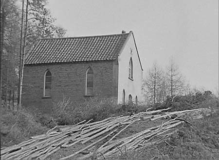 1944 Forestry 03
