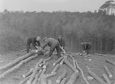 1944 Forestry 05