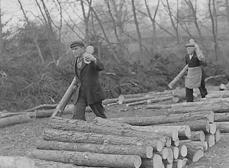1944 Forestry 07